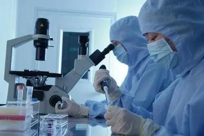 李逵還是李鬼？相似專業(yè)名稱辨析 生物技術(shù)與生物技術(shù)開發(fā)，2021年考生必讀